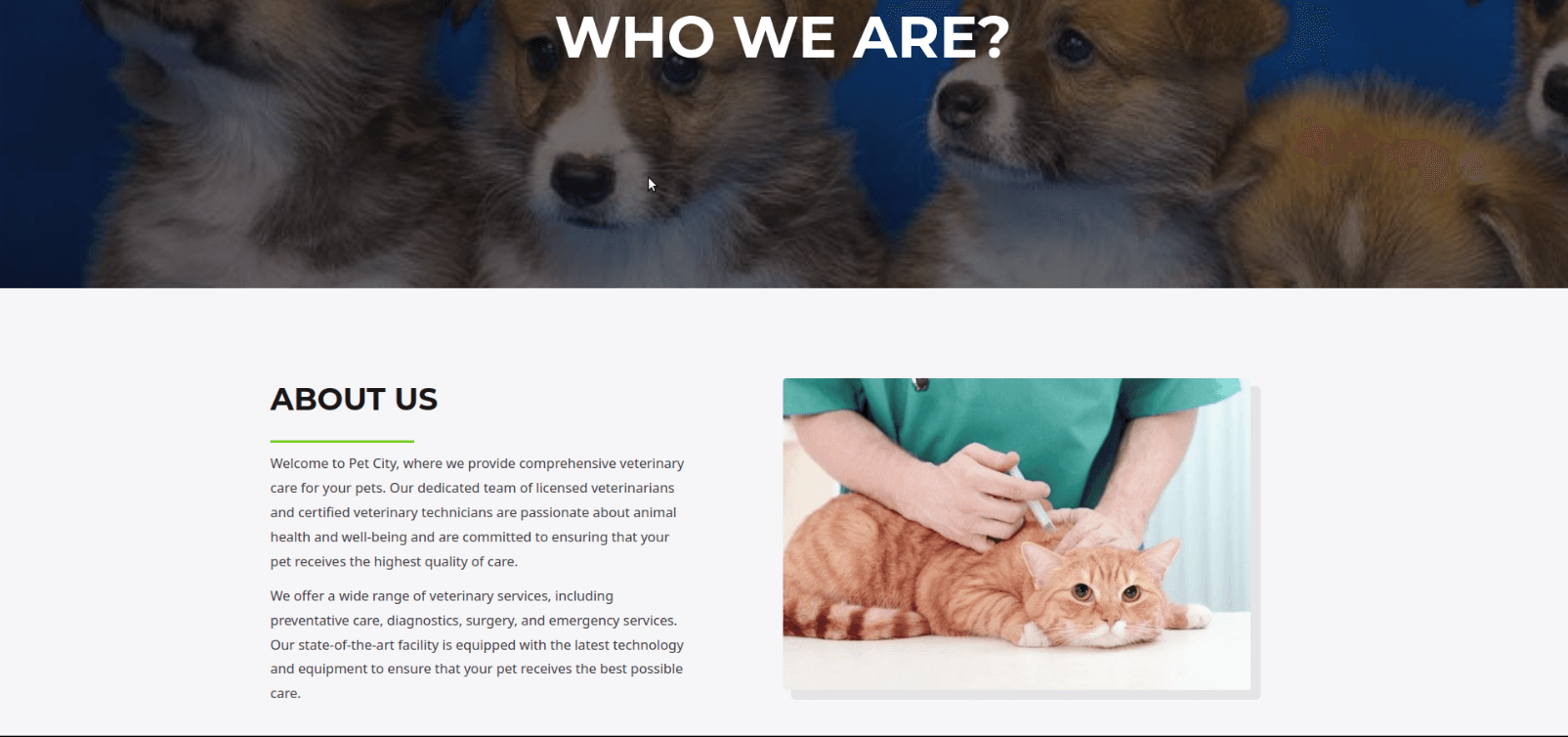Veterinary Website project